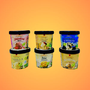 Ice Cream City Sampler (Pack of 6 Specialty Mini Cups)